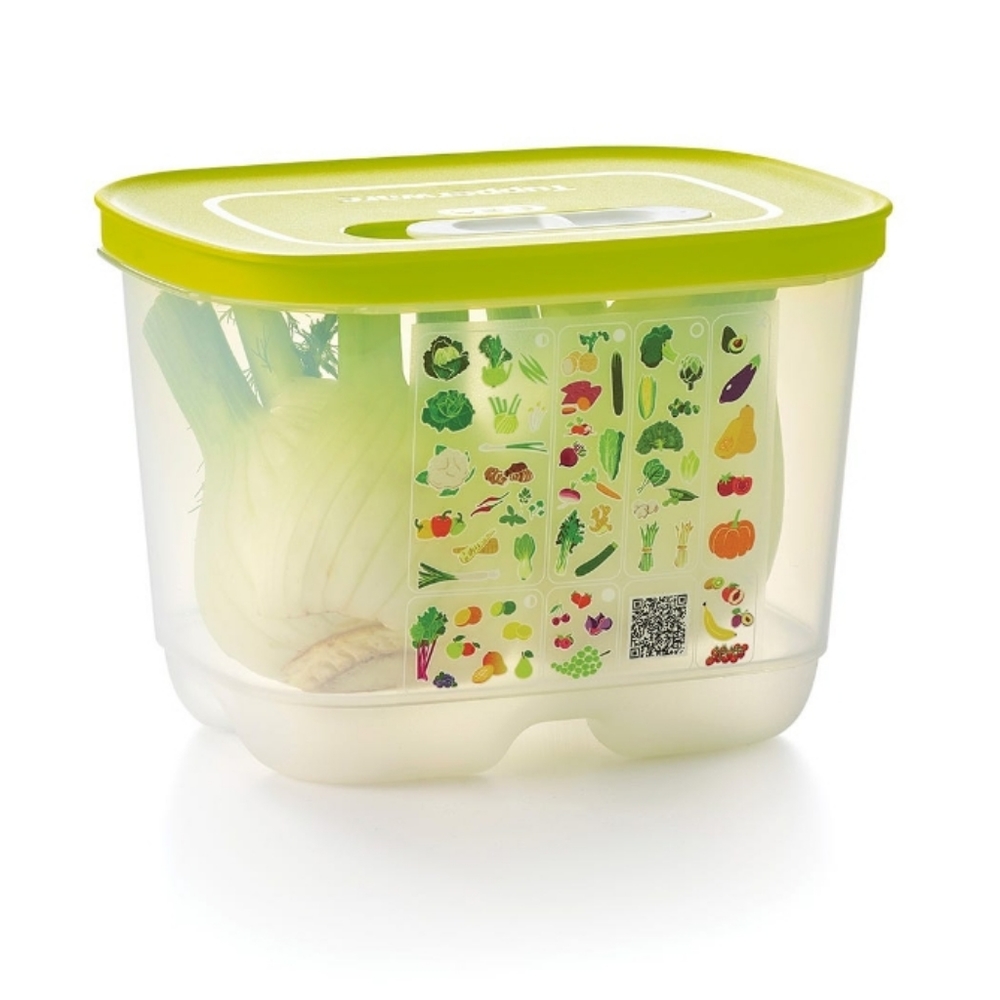 Tupperware fridgesmart Small Deep New